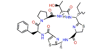 Prelissoclinamide 2